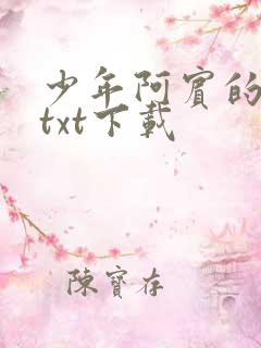 少年阿宾的故事txt下载
