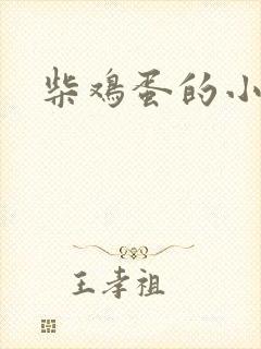 柴鸡蛋的小说