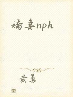 娇妻nph
