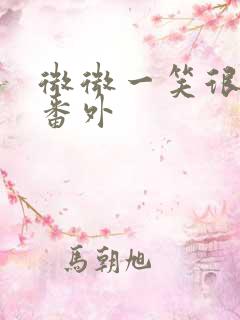 微微一笑很倾城番外