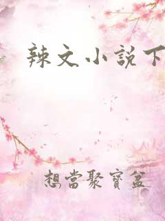 辣文小说下载