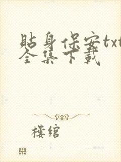 贴身保安txt全集下载