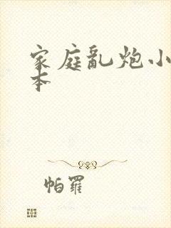 家庭乱炮小说全本