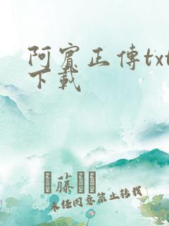 阿宾正传txt下载