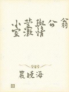 小莹与公翁办公室激情