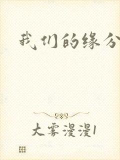 我们的缘分小说