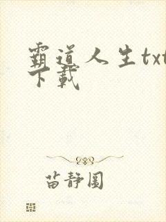 霸道人生txt下载