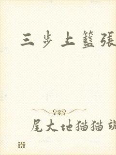 三步上篮张鼎鼎