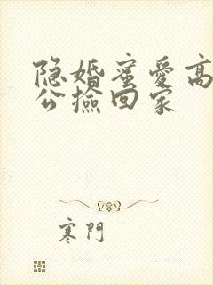 隐婚蜜爱高冷老公捡回家