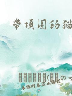 带项圈的猫耳娘