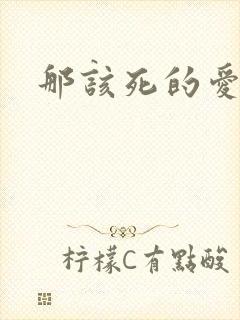 那该死的爱番外