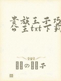 贵族王子巧遇穷公主txt下载