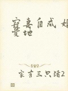 宠妻自成 婚天爱地
