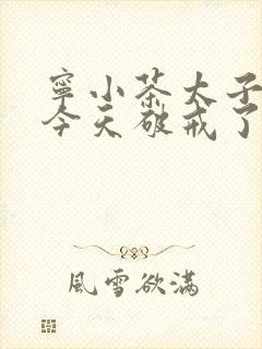 宁小茶太子殿下今天破戒了吗免费阅读