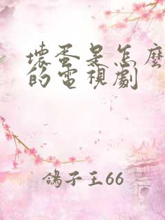 坏蛋是怎么炼成的电视剧