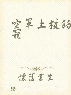 空军上校的邪魅宠