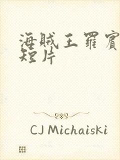 海贼王罗宾被h短片