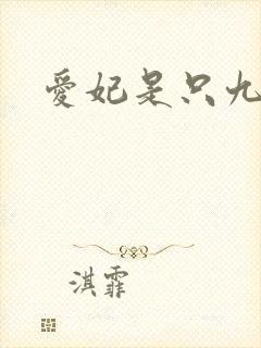 爱妃是只九尾猫