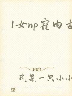 1女np宠肉古