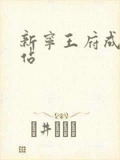 新宁王府成人网站