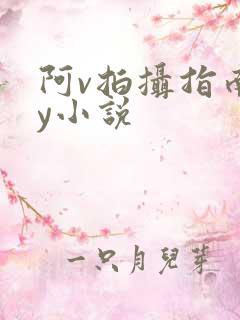 阿v拍摄指南by小说