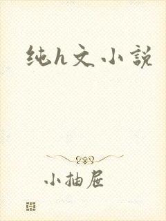 纯h文小说