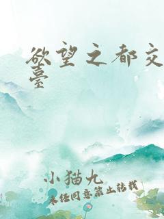 欲望之都交友平台