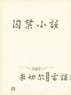 囚禁小说