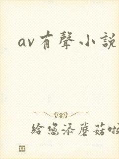 av有声小说