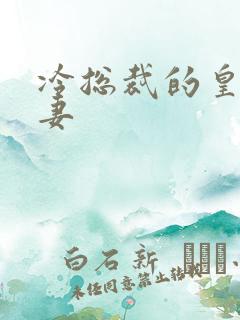 冷总裁的皇后暖妻