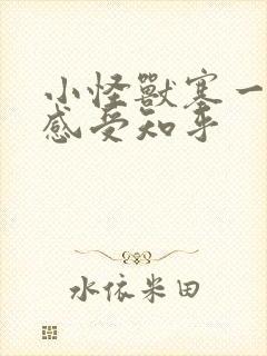 小怪兽塞一天的感受知乎