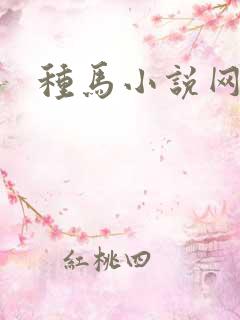种马小说网
