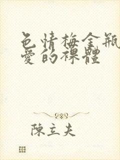 色情梅金瓶2之爱的裸体