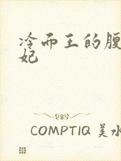 冷面王的腹黑王妃