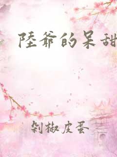 陆爷的呆甜萌妻