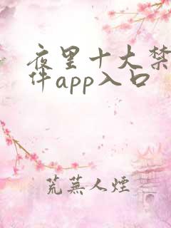 夜里十大禁用软件app入口