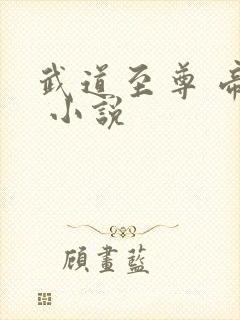 武道至尊 帝临 小说