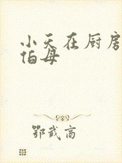 小天在厨房插杨伯母