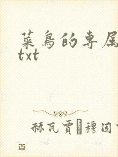 菜鸟的专属大神txt