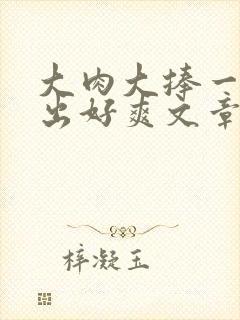 大肉大捧一进一出好爽文章