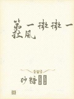 第一微微一笑很拉风