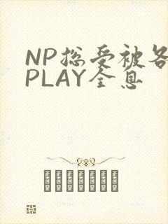 NP总受被各种PLAY全息