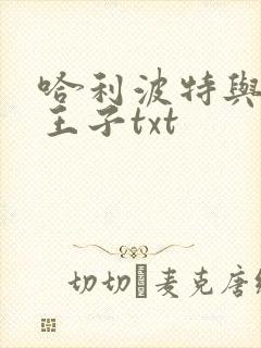 哈利波特与混血王子txt