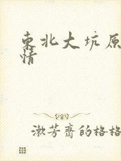 东北大坑原始激情