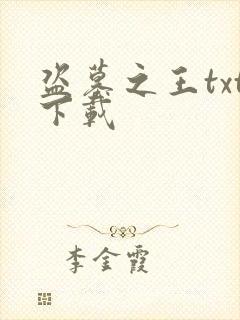 盗墓之王txt下载