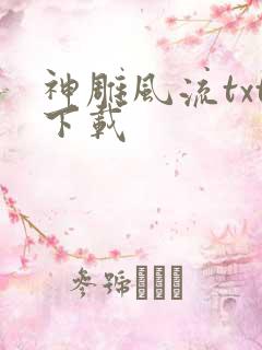 神雕风流txt下载