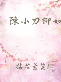 陈小刀柳如意