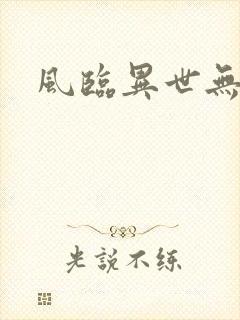 风临异世无弹窗