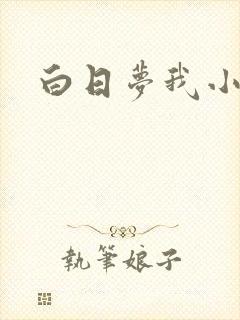 白日梦我小说