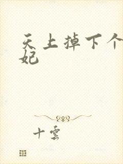 天上掉下个奇王妃